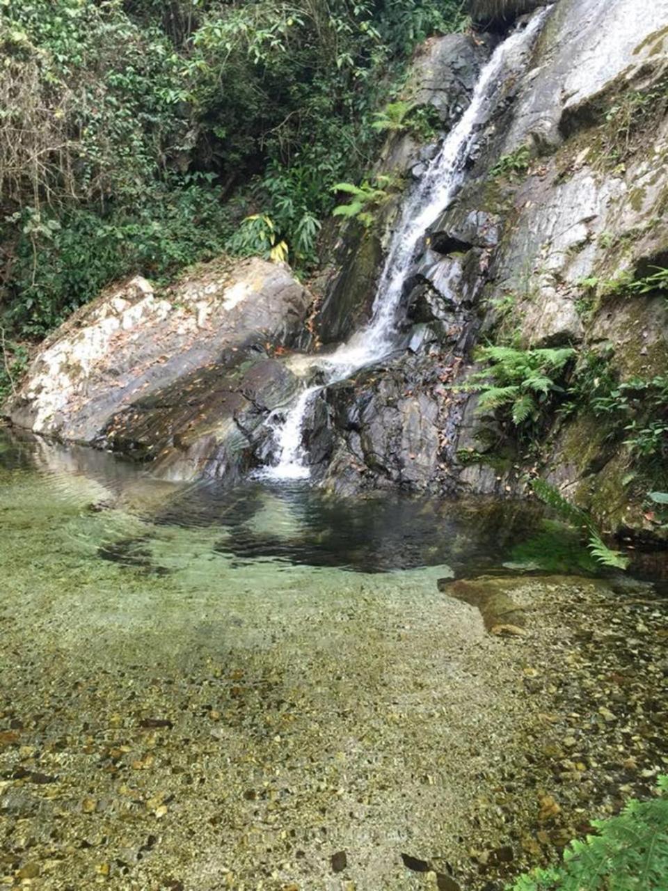 Glamping Finca Margaritas Pluma Hidalgo Eksteriør bilde
