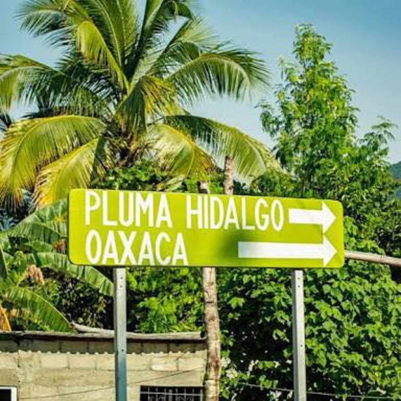Glamping Finca Margaritas Pluma Hidalgo Eksteriør bilde